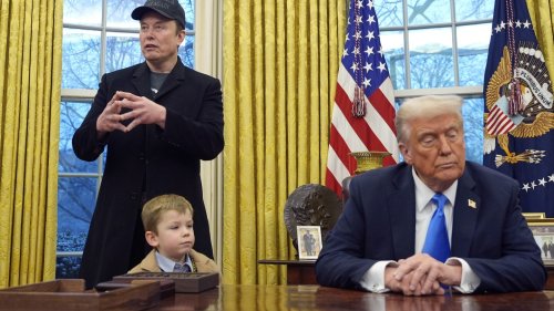 As Musk gained power in Washington, his popularity has fallen, an AP-NORC poll finds