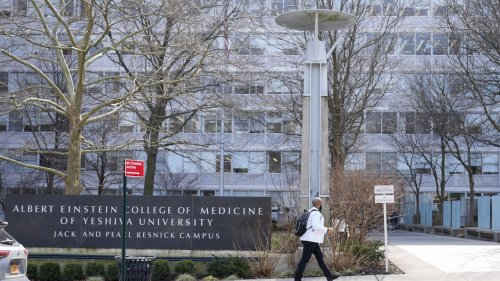 $1B donation makes New York medical school tuition free and transforms students' lives