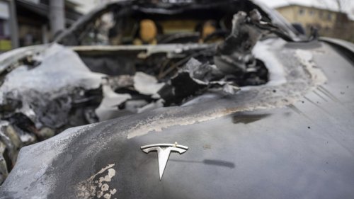 Violent attacks on Tesla dealerships spike as Musk takes prominent role in Trump White House