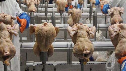 USDA withdraws a plan to limit salmonella levels in raw poultry