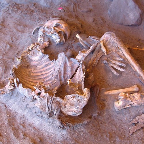 7,000-year-old mummy DNA reveals a lost branch of humanity — BBC Science Focus Magazine