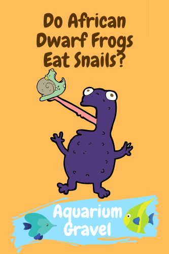 Do African Dwarf Frogs Eat Snails?