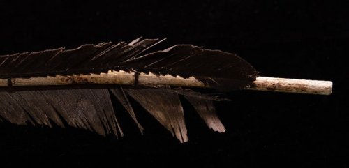 Beaver Castoreum Detected on 6,000-Year-Old Dart in Canada - Archaeology Magazine