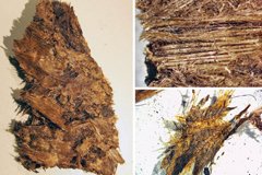 SWEDEN - Archaeology Magazine