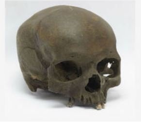 Iron Age Skull Found in England - Archaeology Magazine