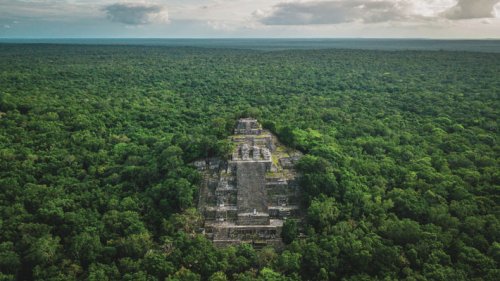 Jungle Realm of the Snake Queens - Archaeology Magazine