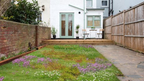 Tapestry Lawns: Why You Need This Low-Maintenance Grass Alternative
