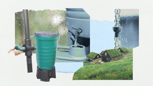Rainwater Harvesting 101: Why You Should Try It—And How to Do It