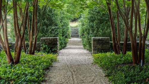 How Star Landscape Designer Edmund Hollander Is Revolutionizing Gardens in the Hamptons and Beyond