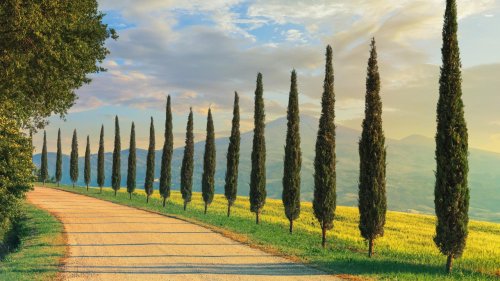 How to Plan the Perfect Road Trip in Tuscany