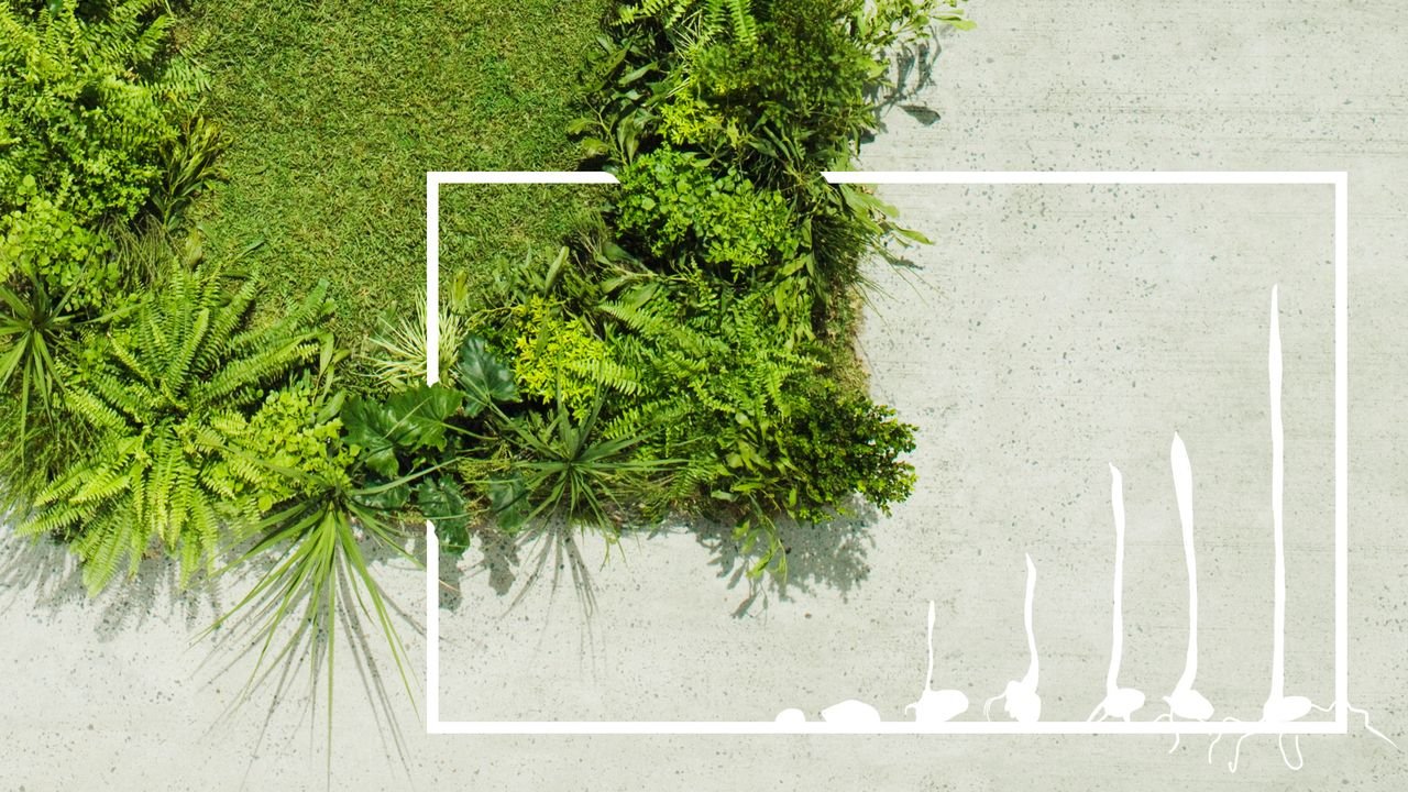Flipboard banner for @shaman