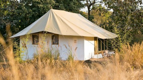 Call of the Wild: Five campsites in national parks around India that let you rough it out in luxury
