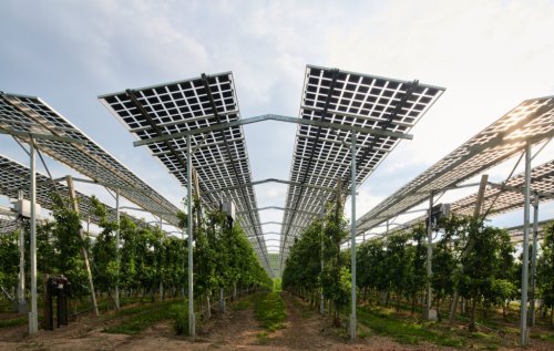 Solar Farms Are Failing Farmers — Architects Can Help