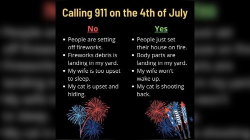 Ga. sheriff’s office posts hilarious advice on when it’s OK to call 911 on the 4th
