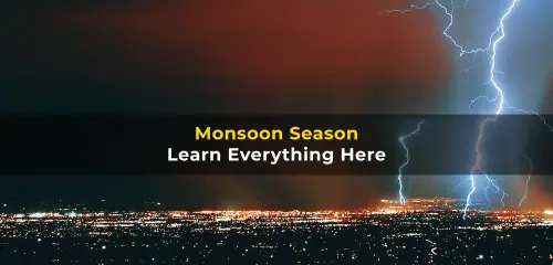 Monsoon Season - Causes, History & Effects
