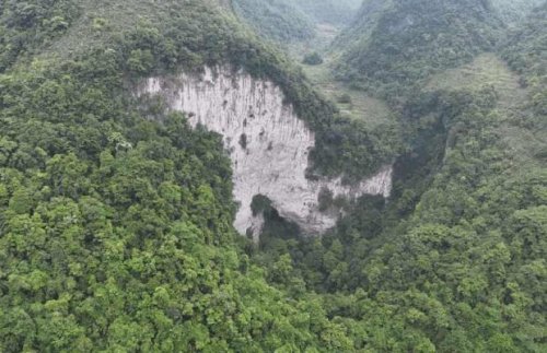 Çin’de Dev Bir Obruğun Dibinde Antik Orman Bulundu