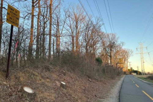 Dominion’s W&OD tree removal draws pushback from county, regional leaders