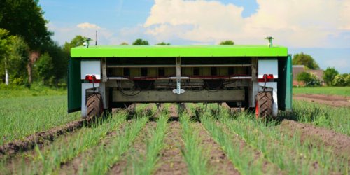 Mother plucker: Steel fingers guided by AI pluck weeds rapidly and autonomously