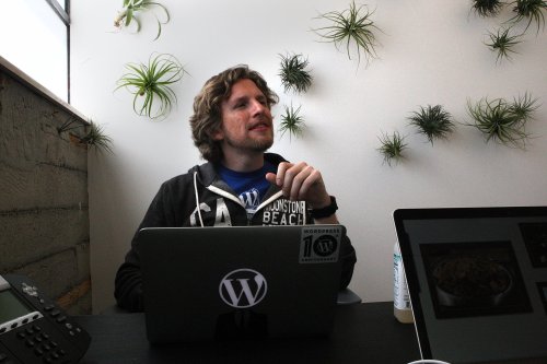 Automattic demanded web host pay $32M annually for using WordPress trademark