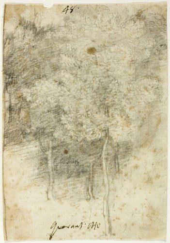 Grove of Trees | The Art Institute of Chicago