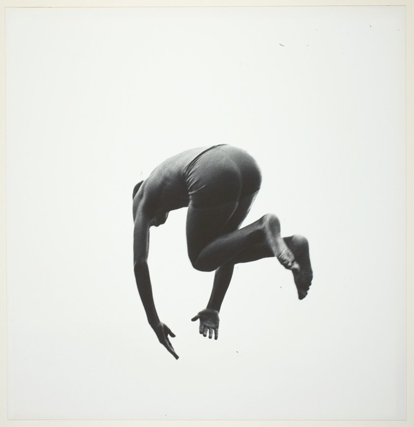 Pleasures and Terrors of Levitation 60 | The Art Institute of Chicago