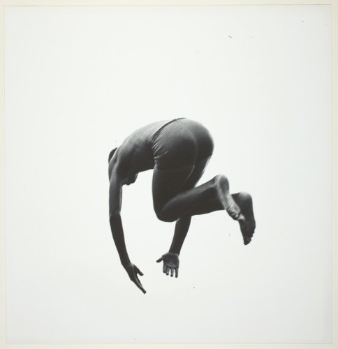 Pleasures and Terrors of Levitation 60 | The Art Institute of Chicago