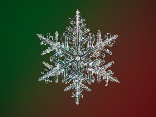 Tech Genius Nathan Myhrvold Says He Shot the Highest-Resolution Images of Snowflakes Ever Taken—See the Pictures Here