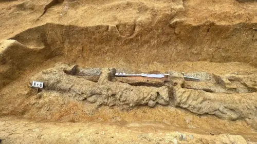 Archaeologists in Japan Have Unearthed a 4th-Century Ceremonial Sword That Dwarfs Any Other Blade Found in the Country