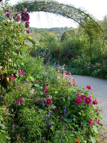 Here Are 5 Extraordinary Gardens Designed by Artists With Green Thumbs, From Frida Kahlo to Robert Irwin