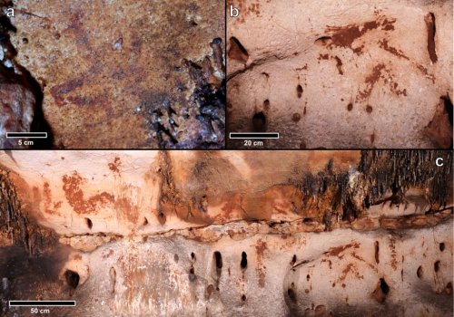 Largest Paleolithic Cave Art Site Is Discovered in Eastern Iberia