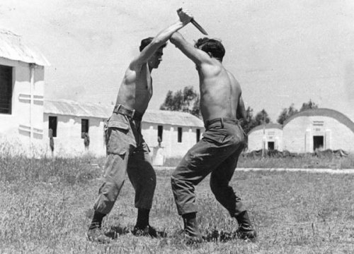 A Primer on Krav Maga: The Combative System of the Israeli Defense Forces