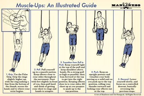 How to Perform a Muscle-Up: An Illustrated Guide