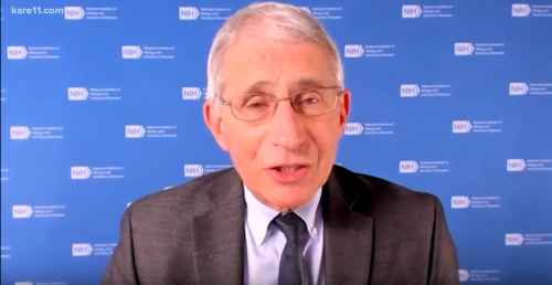 Dr. Fauci is Positive that Live Music Could Return This Fall