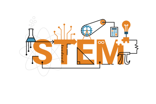 STEM—Beyond the Acronym