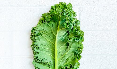 World’s First Kale-Based Prebiotics Made Especially For Asians - Asian Scientist Magazine