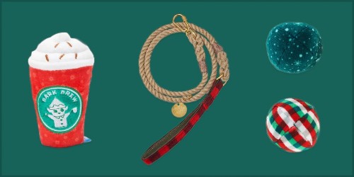 Spoil Your Pet(s) With These 80+ Gift Ideas