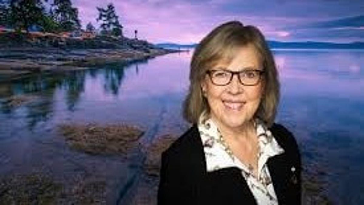 Greens say campaign volunteers harassed, call for Elections Canada probe