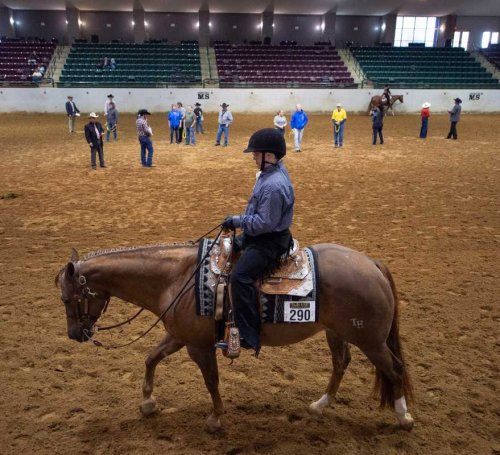 Equestrian Fans Rejoice As Texas To Erect All-Weather Riding Arena