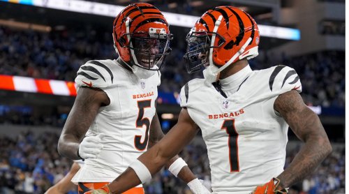 The Bengals Could Be On the Move from Cincinnati?