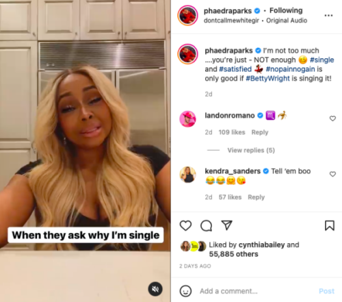 ‘True Scorpion Behavior’: Phaedra Parks Sends the Internet Into a Frenzy After She Explains Why She Is Still Single