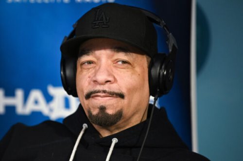 ‘That’s Not a Sell Out That’s Genius’: Fans Come to Ice-T’s Defense After Internet Troll Claims He’s a ‘Sell Out’ After Making a Career Out of Playing a Television Cop