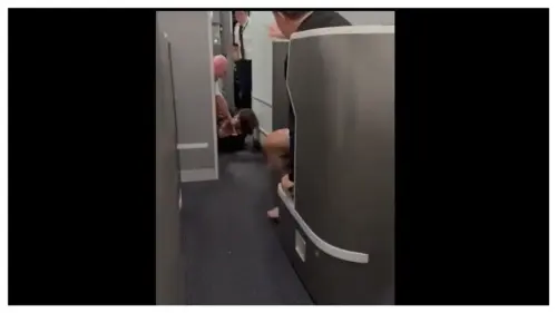 ‘I’ll Kick You In the Balls!’: Video Shows Woman Fighting with Attendants Struggling to Restrain Her After She Stormed Cockpit Over Delayed American Airlines Flight