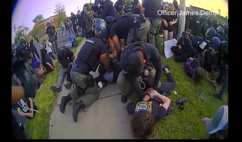 'This Sh-t's Kinda Fun': Newly Released Video Shows Detroit Police Mock, Shove, Pepper-Spray Complying Protesters at George Floyd Demonstrations Last Year