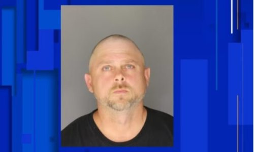 ‘Such Reprehensible Behavior’: Man Allegedly Tries to Run Down, Trail Black Shoppers with Baseball Bat at Michigan Mall