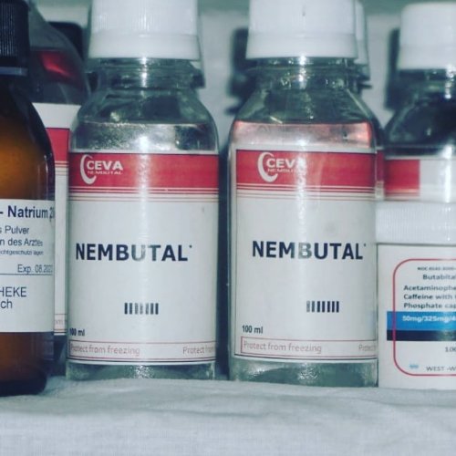 Nembutal for sale online - Atlantic Chemical