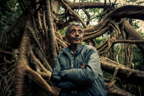 The Artisans Behind India's Living Root Bridges