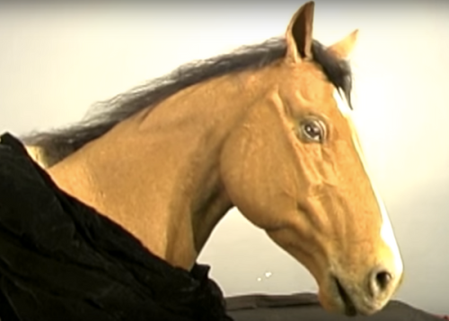 A Closer Look at That Oscar-Winning Animatronic Horse Puppet