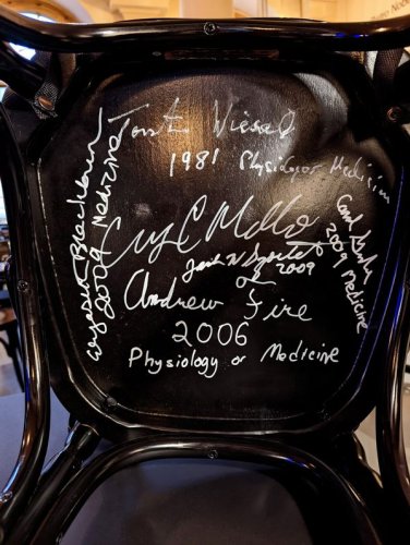 Bistro Nobel Signed Chairs