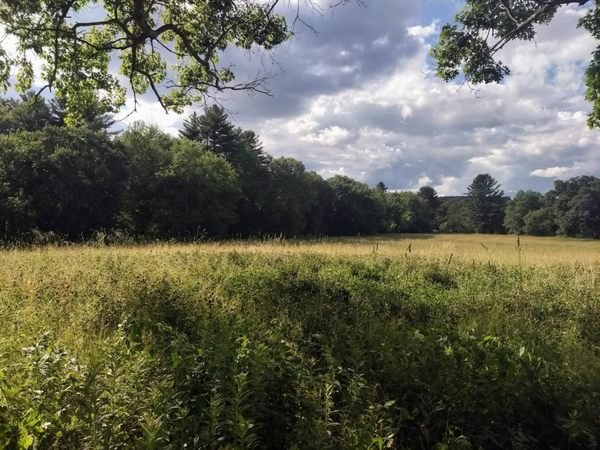 Siege of Brookfield Historic Markers in New Braintree