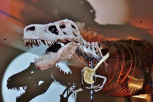 How Scientists Are Recreating Dinosaur Breath